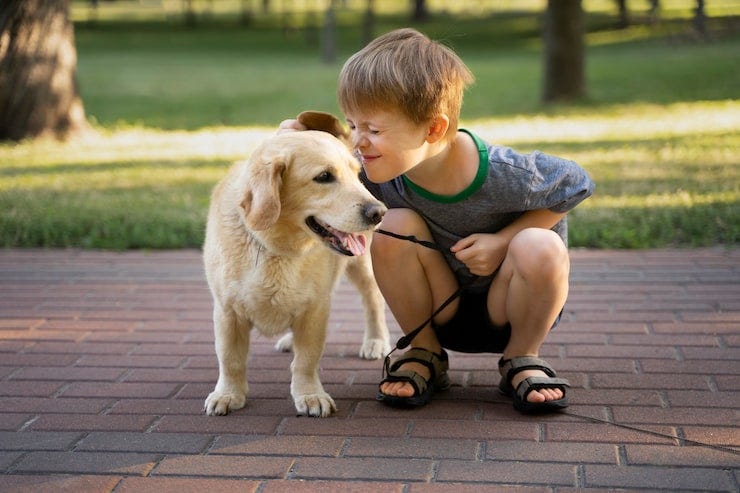 Page 14 | Labrador puppies Images - Free Download on Magnific (formerly Freepik) Page 14 | Labrador puppies Images - Free Download on Magnific (formerly Freepik)