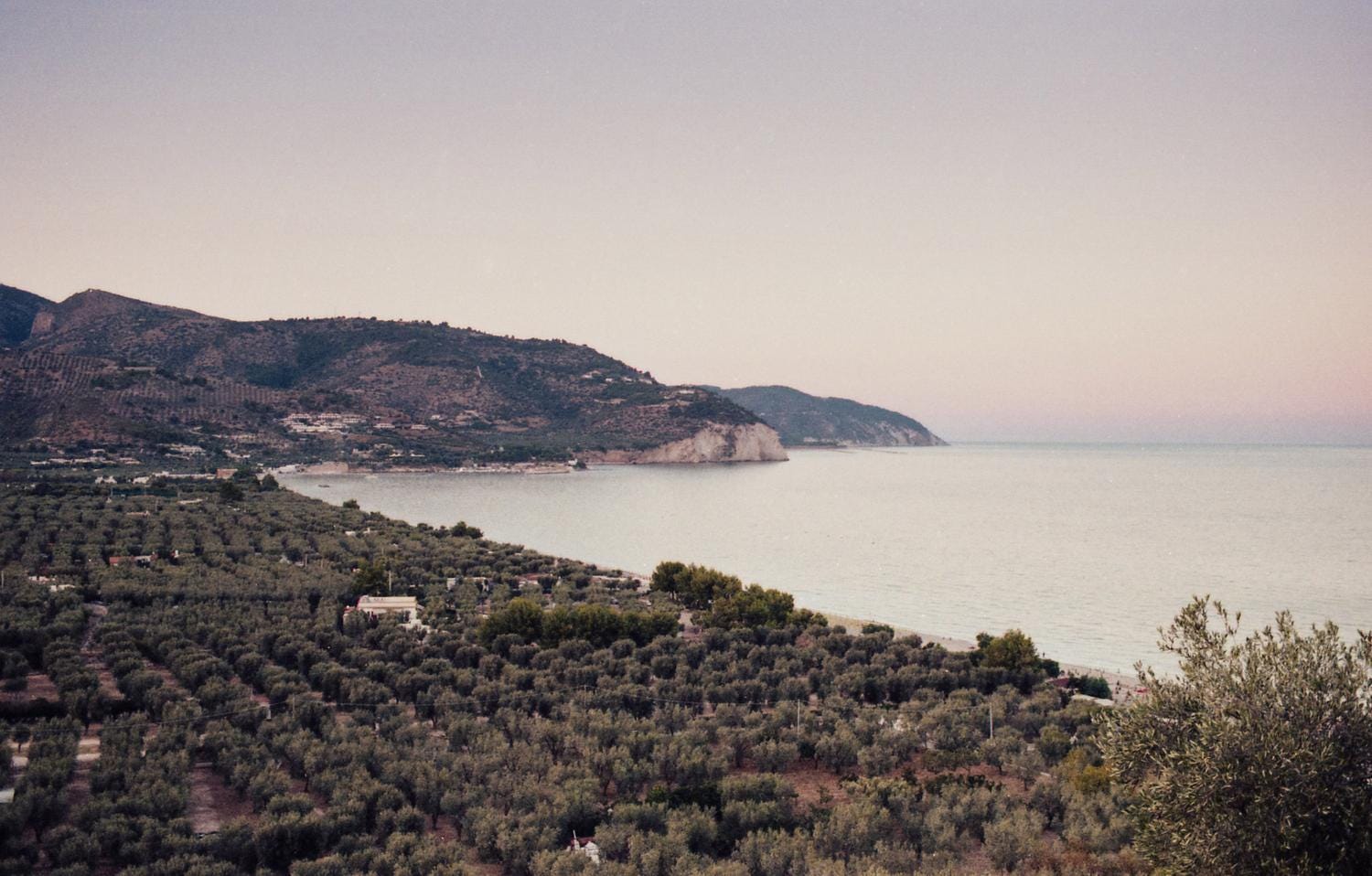 Billy M Bag Goatskin Sapin – Jérôme Dreyfuss, image size:1500x958