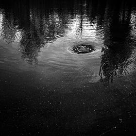 A Day in the Life of a Flood Writer