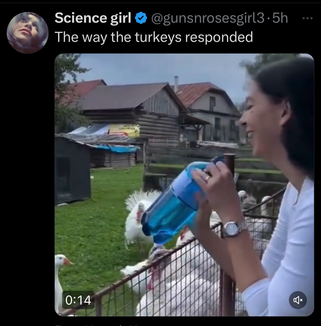 Image.heic Image.heic