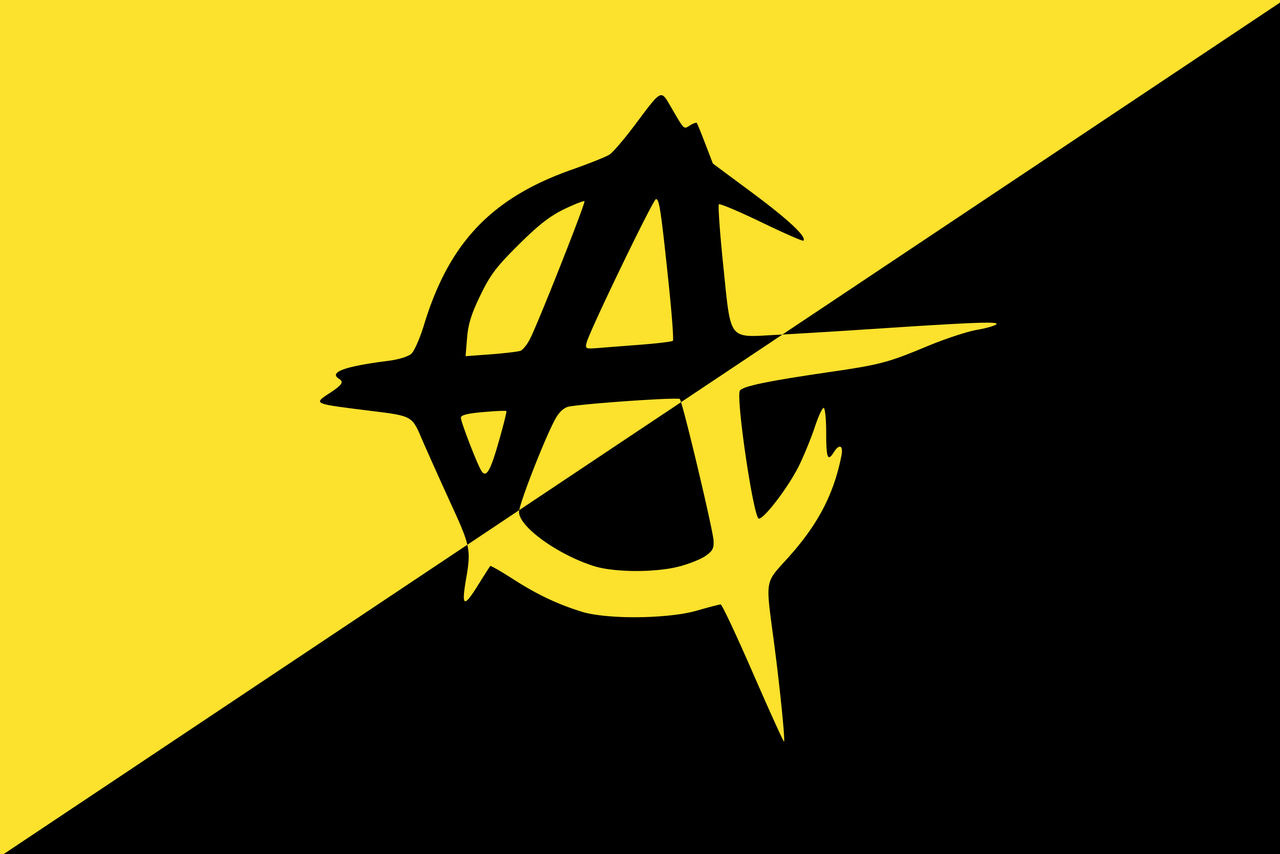 Ancap Flag by LiberAncap on DeviantArt
