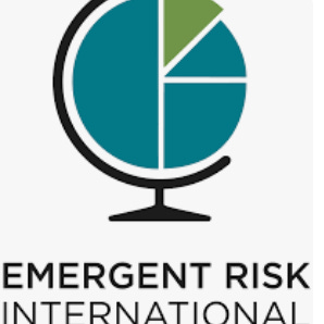 Disinformation Monitor - from Emergent Risk International  logo