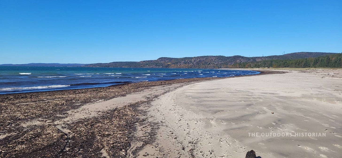 A view looking west along the sweeping shoreline of Neys Provincial Park. The lake is agitated with white caps under a sunny sky, and small fragments of wood and pulpwood debris are scattered across the sandy beach in the foreground.
