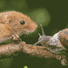 A Great Empire Will Fall. Tabs, Wed., April 8, 2026