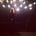 Sonya Lea's avatar