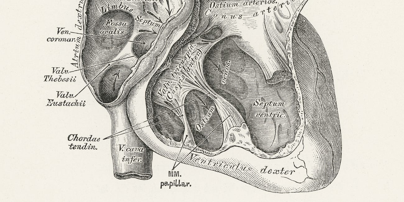 Prayer for a messy heart