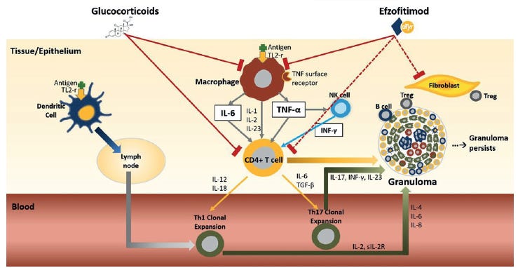 Diagram of a diagram of a cell membrane

AI-generated content may be incorrect.