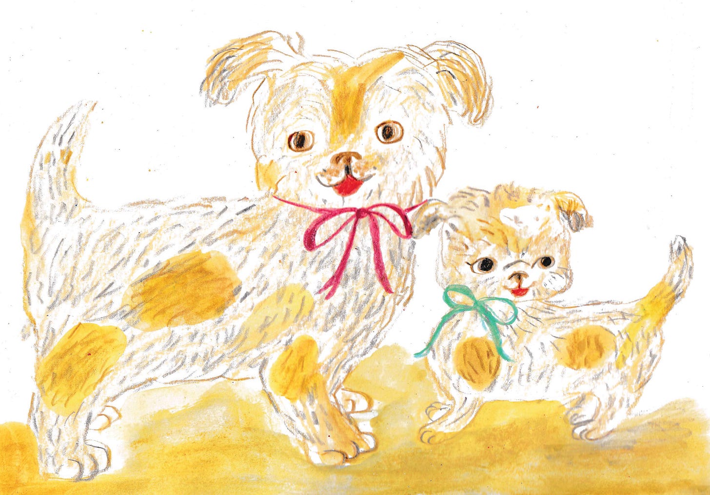 dogs illustrated by beth spencer