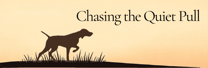 Chasing the Quiet Pull