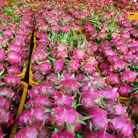 Food Fraud Horizon Scan Archive