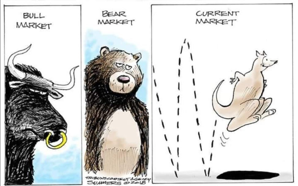 The Kangaroo Market is Jumping up and Down. | Technical Analysis of Indian  Equities by Nooresh