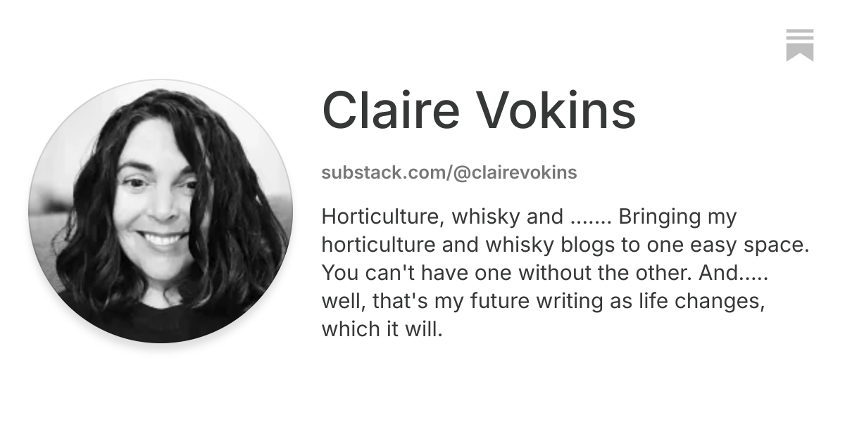 Claire Vokins | Substack