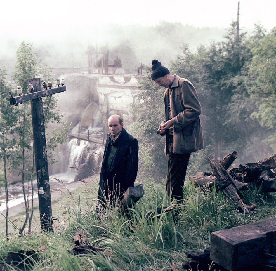 Writer and Professor standing on a cliff near a hydroelectric dam; lots of tall grass and flowers, shot in normal colors