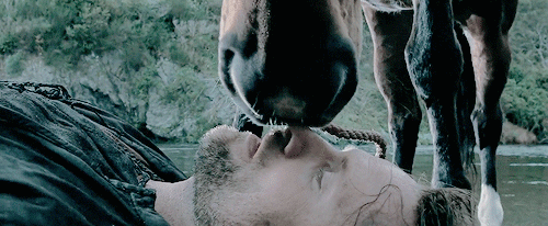A gif of the scene from the Two Towers where Aragorn's horse nuzzles his face, as his dream sequence ends.
