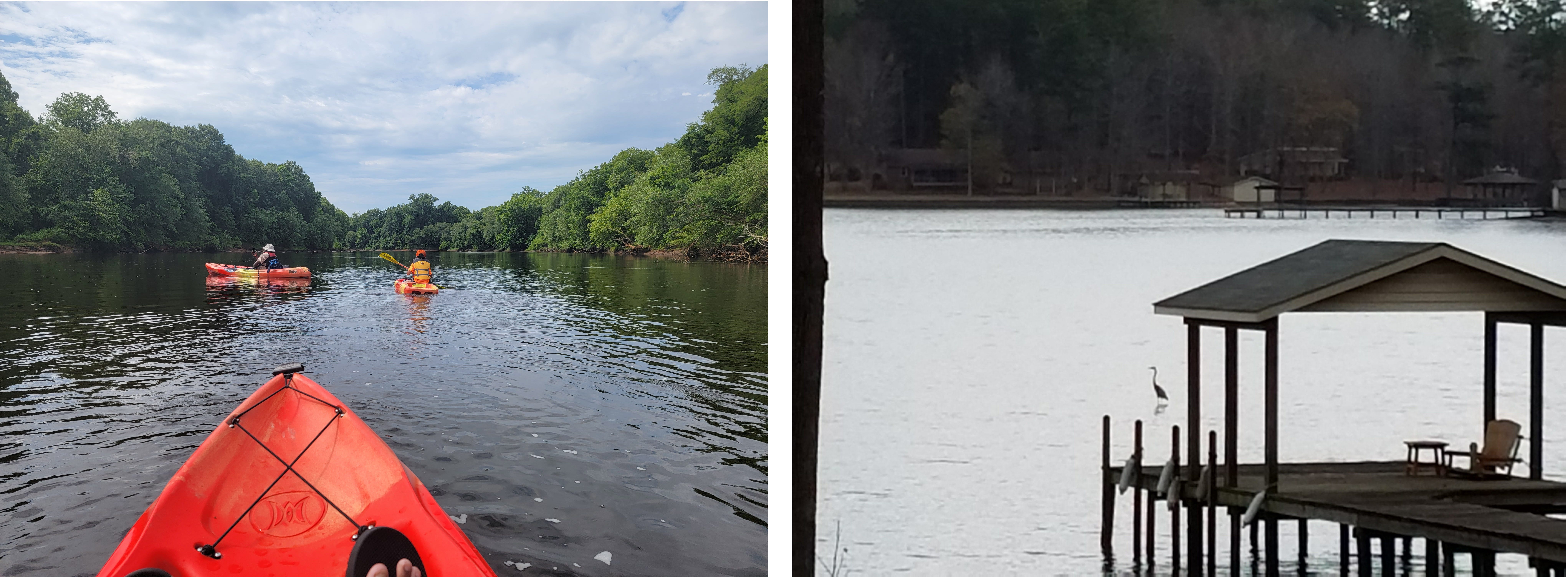 Diary: Sean Hill, (1) This Land Is My Land - Book Post, image size:8168x3006