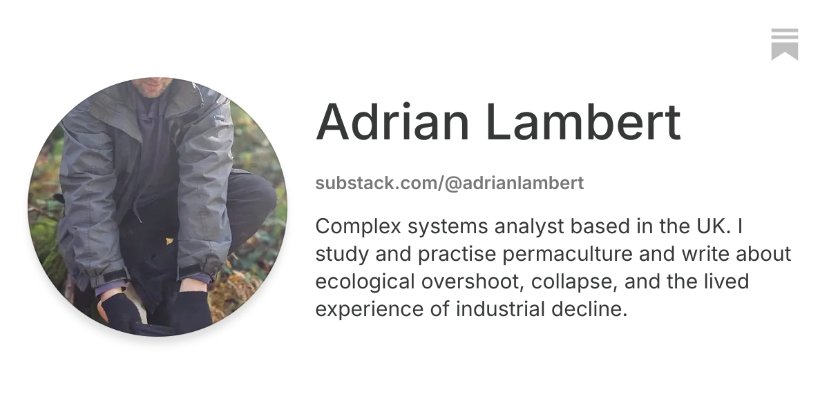 Adrian Lambert | Substack