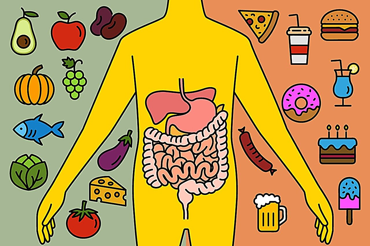 Deadly diets are driving digestive diseases