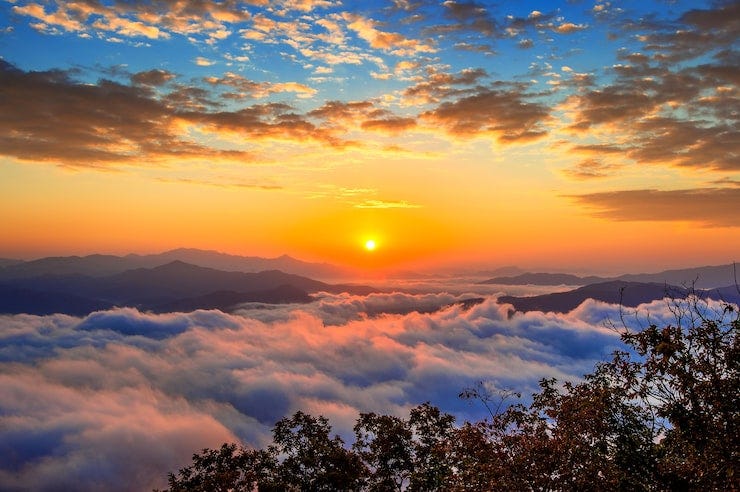 Beautiful sunrise Images - Free Download on Freepik