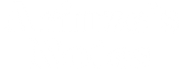 Arinze's Notes
