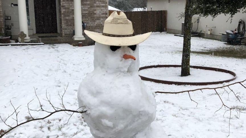 Image result for texas winter storm 2021