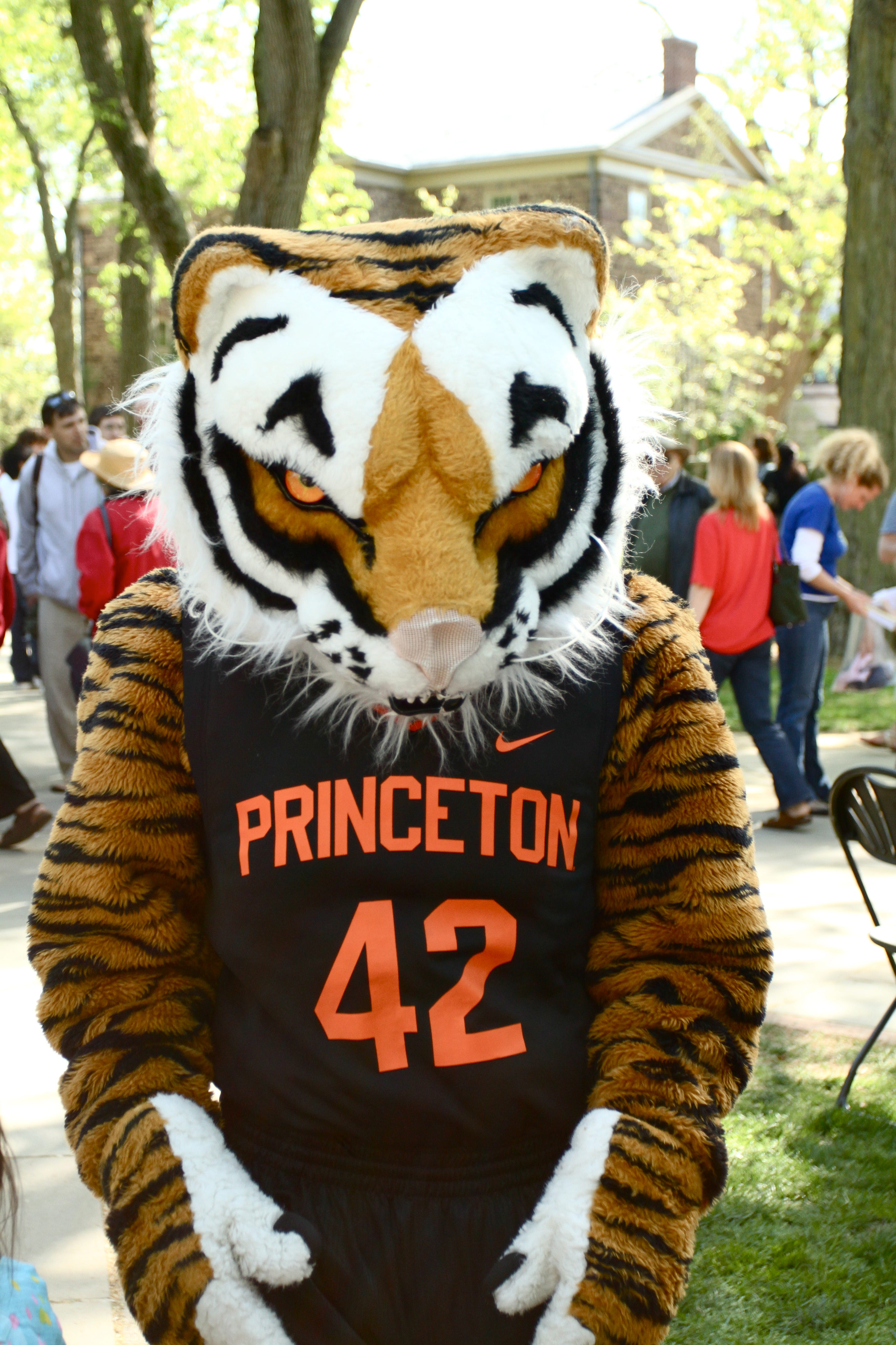 Substack profile picture for @reunions