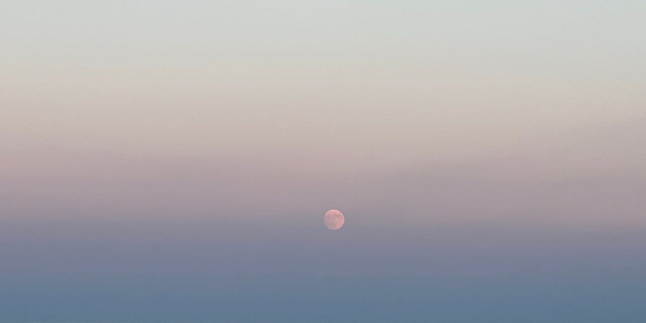 NOTES from. the universe // sturgeon moon