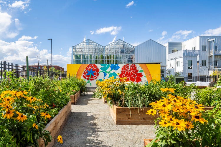 Urban Farming: A Sustainable Pathway Out of Nigeria's Unfolding ...