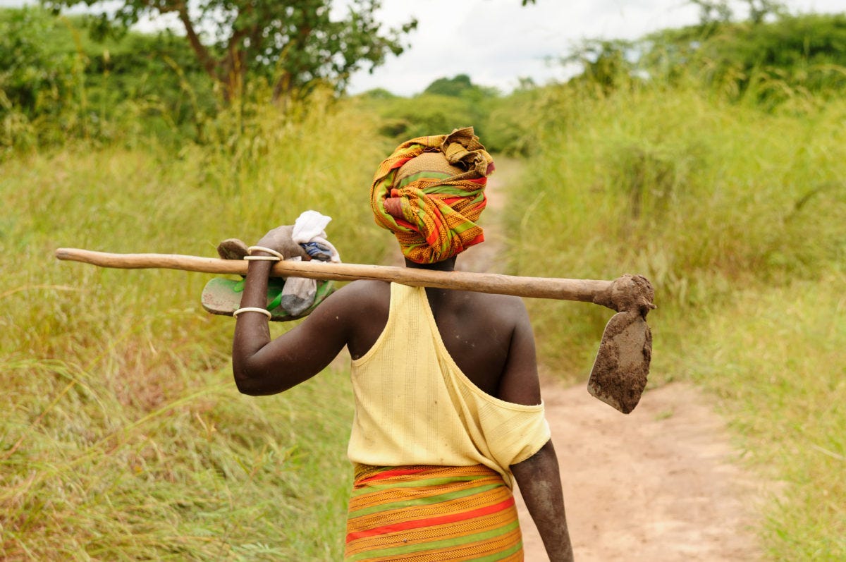 Handheld hoe project – African Union Foundation