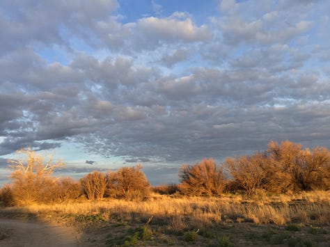 A beautiful ending to the perfect day, Wilcox Playa Wildlife Area, Arizona