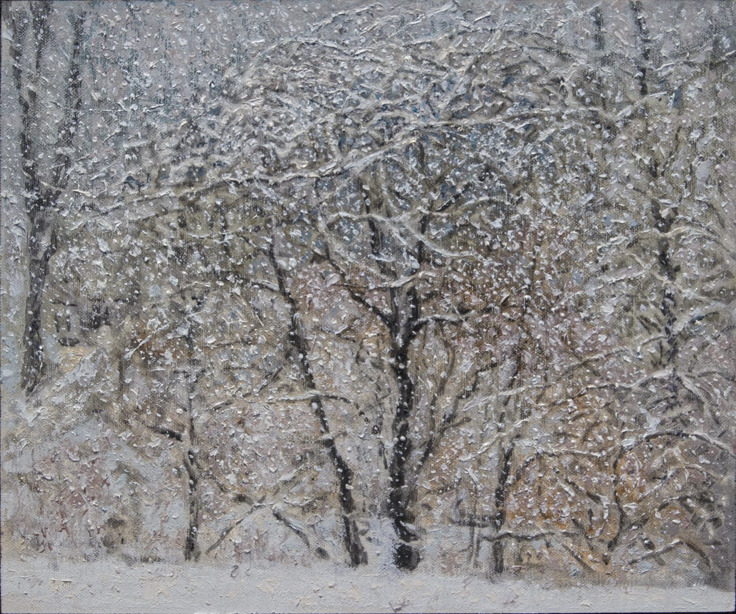 Amid thickly falling snow, the intricate, snow covered branches of tree create a sheltered bower Amid thickly falling snow, the intricate, snow covered branches of tree create a sheltered bower