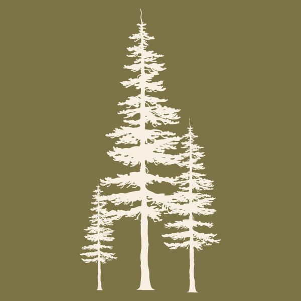 bosbrief \ud83c\udf32