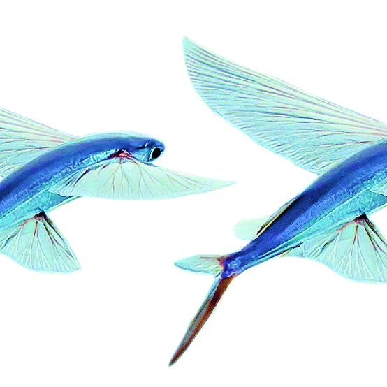 The Art of the Leap: Navigating the Messy Frontier