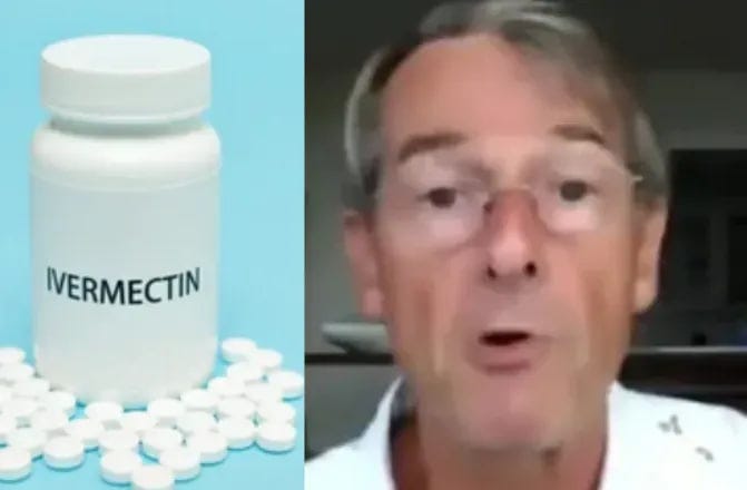 Dr. Mike Yeadon against the "Covid" cartel – PART 6 : The P-gp inhibitors: substances that, by inhibiting P-gp (P-glycoprotein / pgp), also inhibit the excretion of ivermectin from the body.