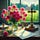 Ruminations and Reflections