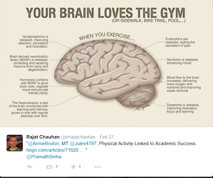 “Your brain loves the gym” infographic on how exercise affects the brain “Your brain loves the gym” infographic on how exercise affects the brain
