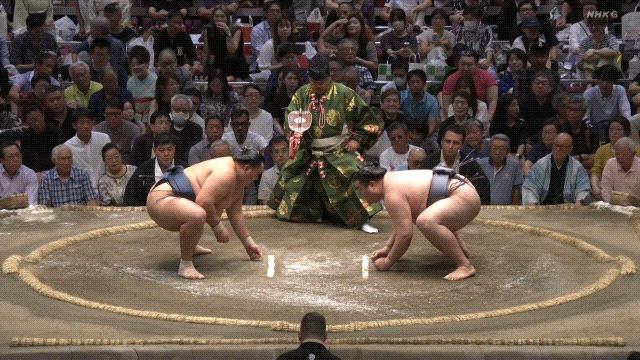 Sumo Stomp! | Tim Bissell | Substack