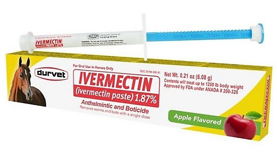 Horse ivermectin paste.