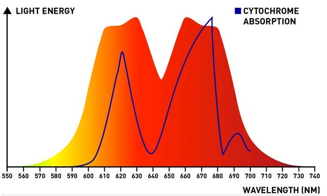 No alt text provided for this image