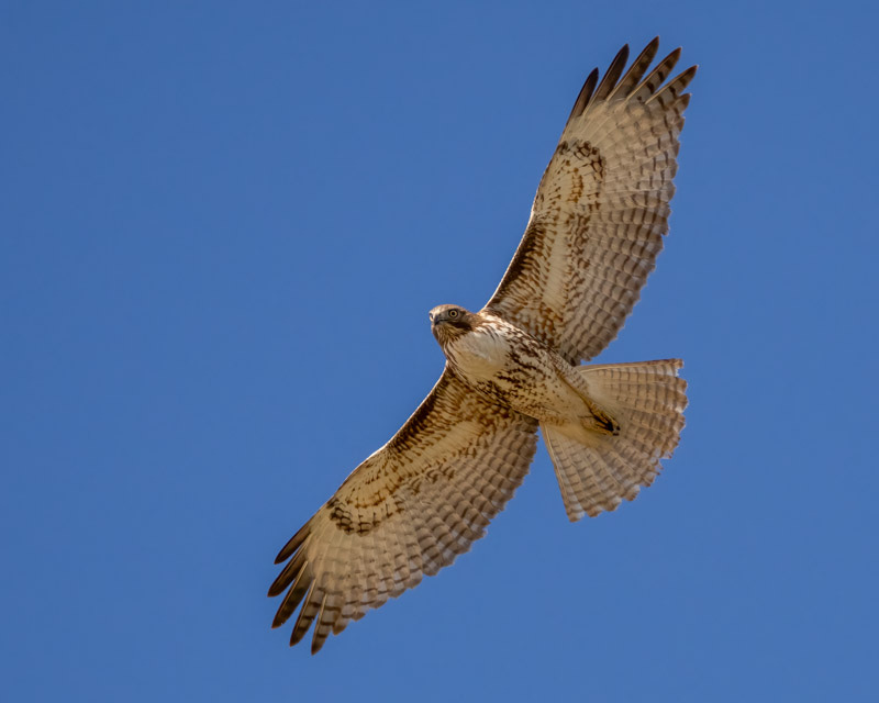 20240218-Yuma-306-Edit.jpg
