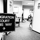 Biden Administration's "Dedicated Docket" Speeds Up Asylum Hearings – But at What Cost? 