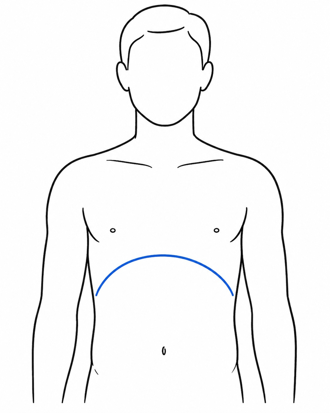 Minimal black-and-white illustration of a person shown from the waist up. The diaphragm is highlighted with a blue curved line across the lower chest, showing its relaxed, dome-like position at rest. Minimal black-and-white illustration of a person shown from the waist up. The diaphragm is highlighted with a blue curved line across the lower chest, showing its relaxed, dome-like position at rest.
