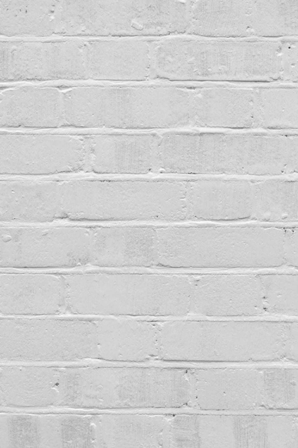 the poster for Paint Drying: a plain white brick wall