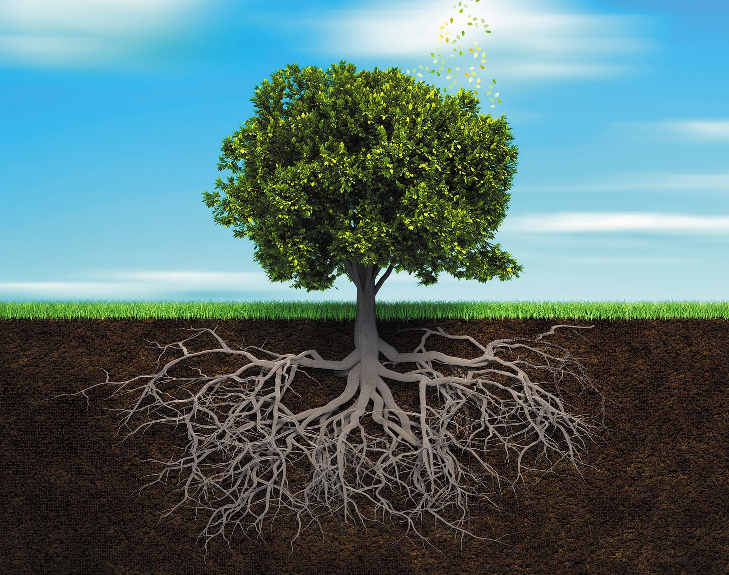 A cutaway view shows a large leafy green tree above green grass, while below the grass in the soil extends an octopus-like root system larger than the tree itself. Above ground, hazy clouds layer a light-blue sky.