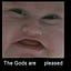 User's avatar