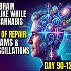 Vivid Dreams and the Neuro-Oscillatory Phase of Cannabis Cessation