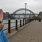 Peter Rabbit trail almost ready to hop onto North East streets