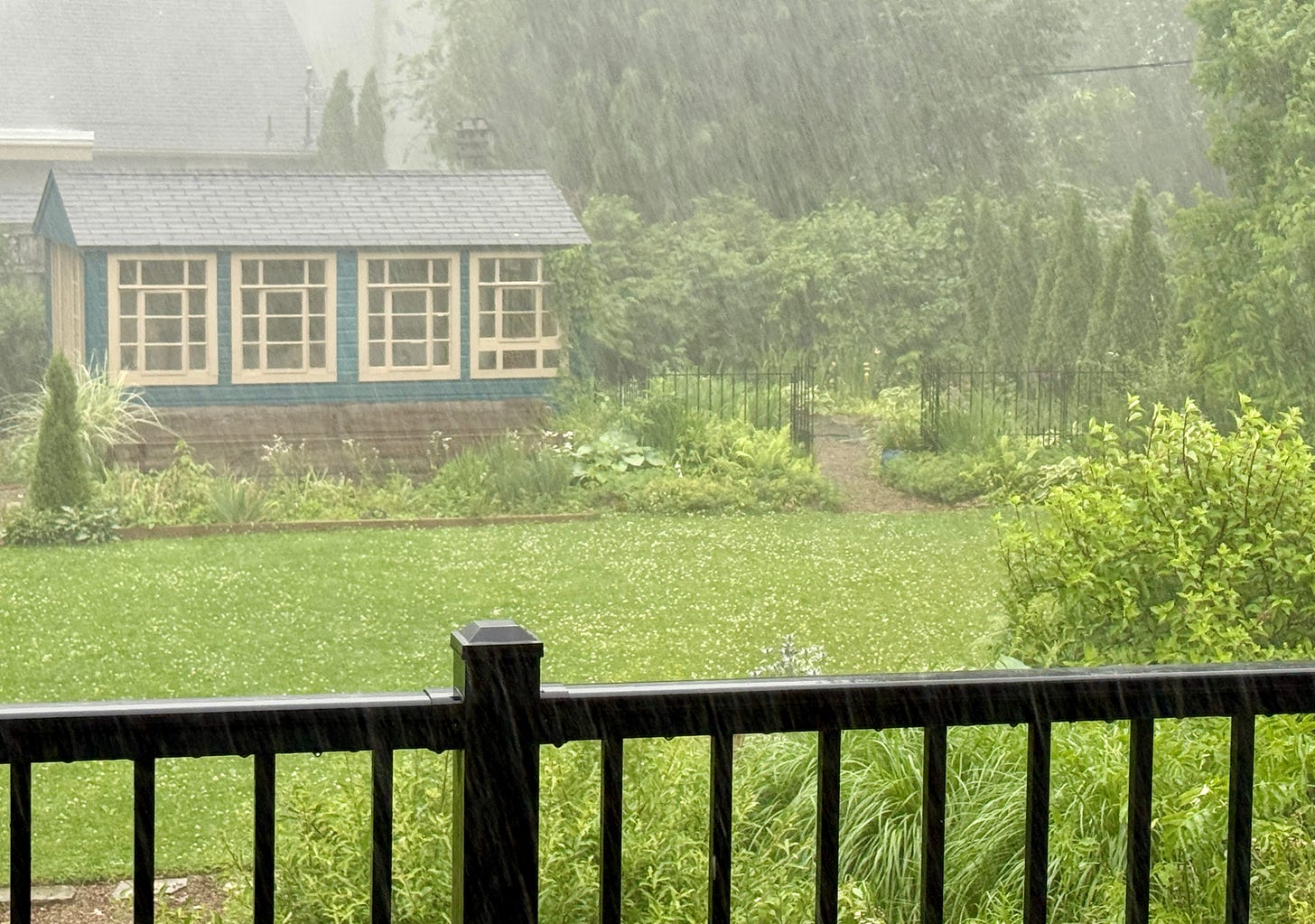 The potting shed and pond areas seen through today’s downpour. 
