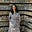 Suchi Somasekar's avatar