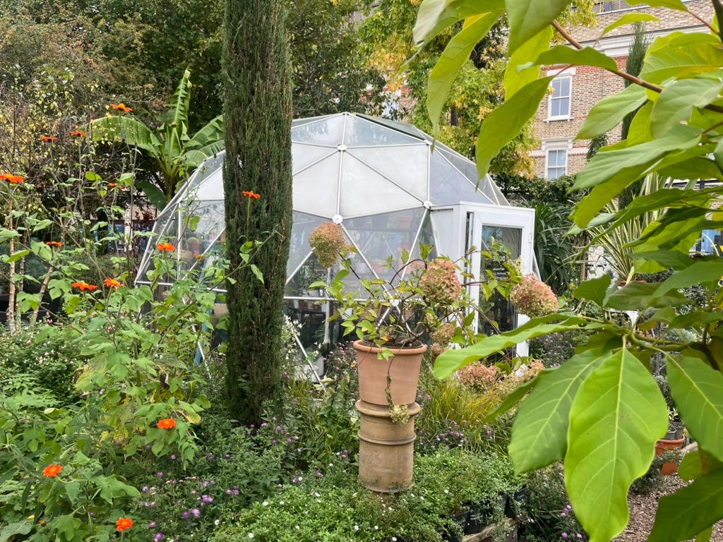 The geodesic dome in Walworth Garden