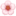 🌸 🌸